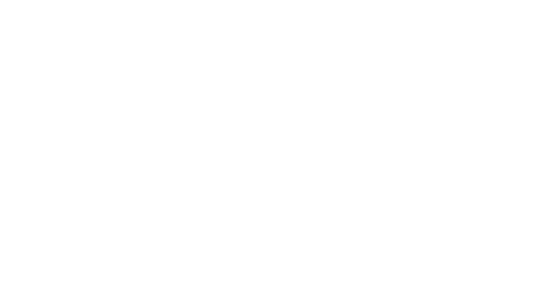 Logo der ALLEMANN GmbH