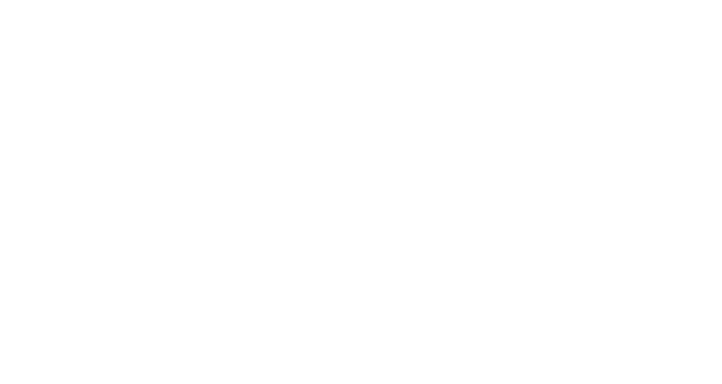 Sommertanzfestival