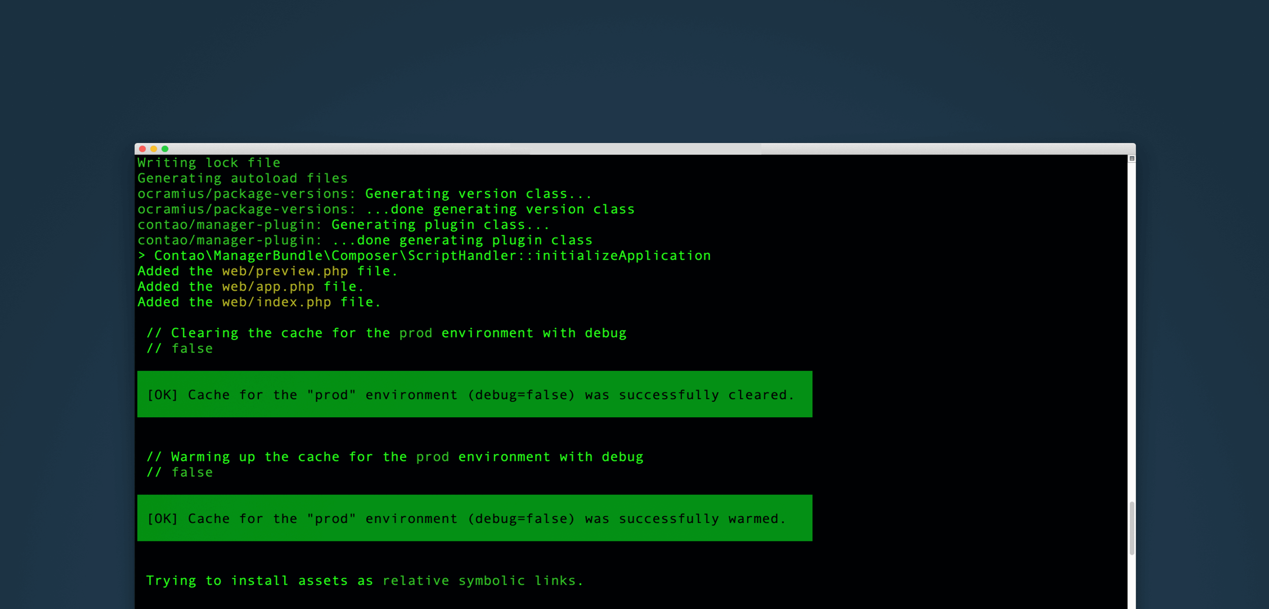 Ein Terminal nach erfolgreicher Installation von Contao 4.9